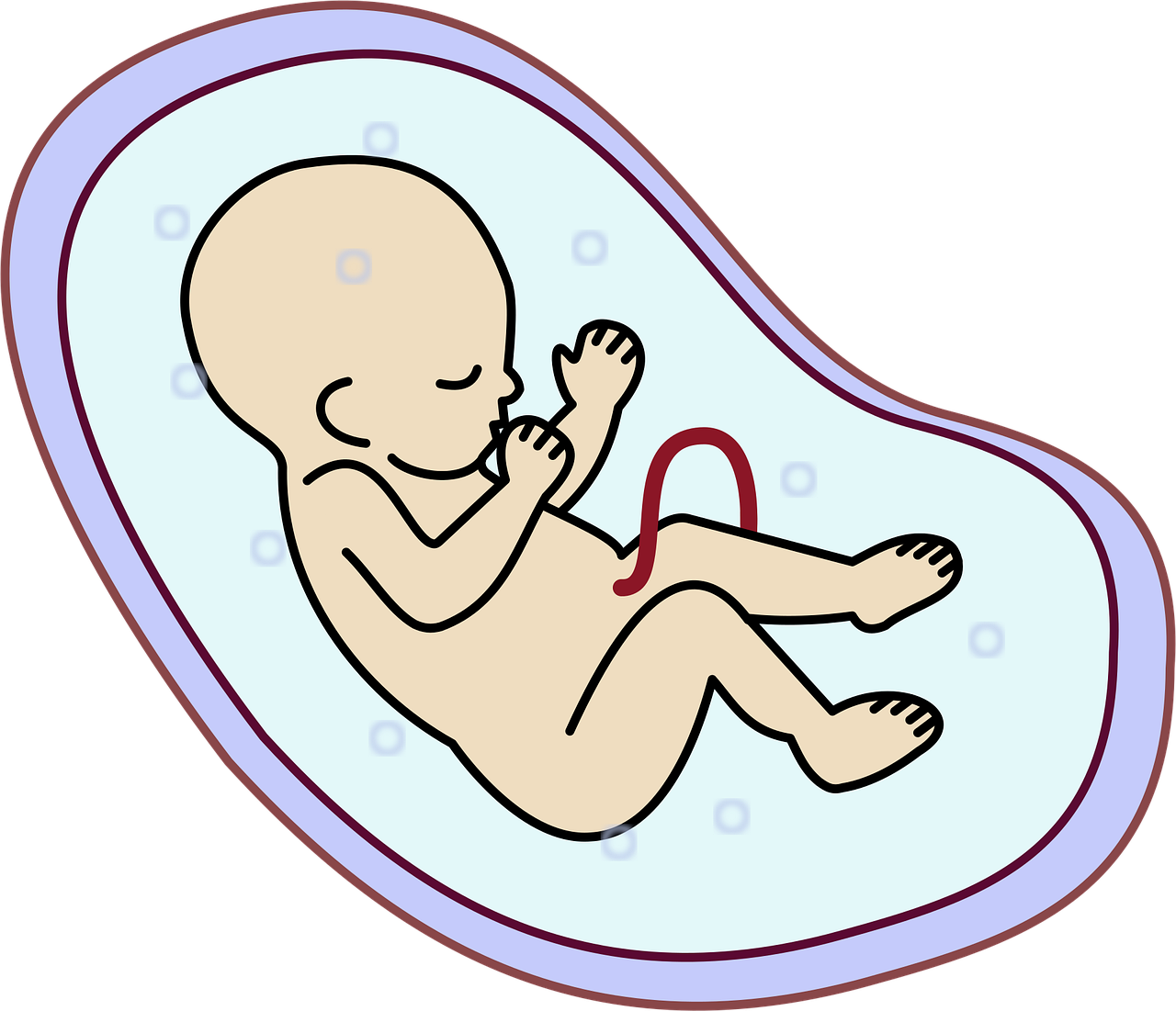 soins prénatals : suivez des conseils et examens médicaux essentiels pour assurer la santé de la mère et du bébé tout au long de la grossesse.
