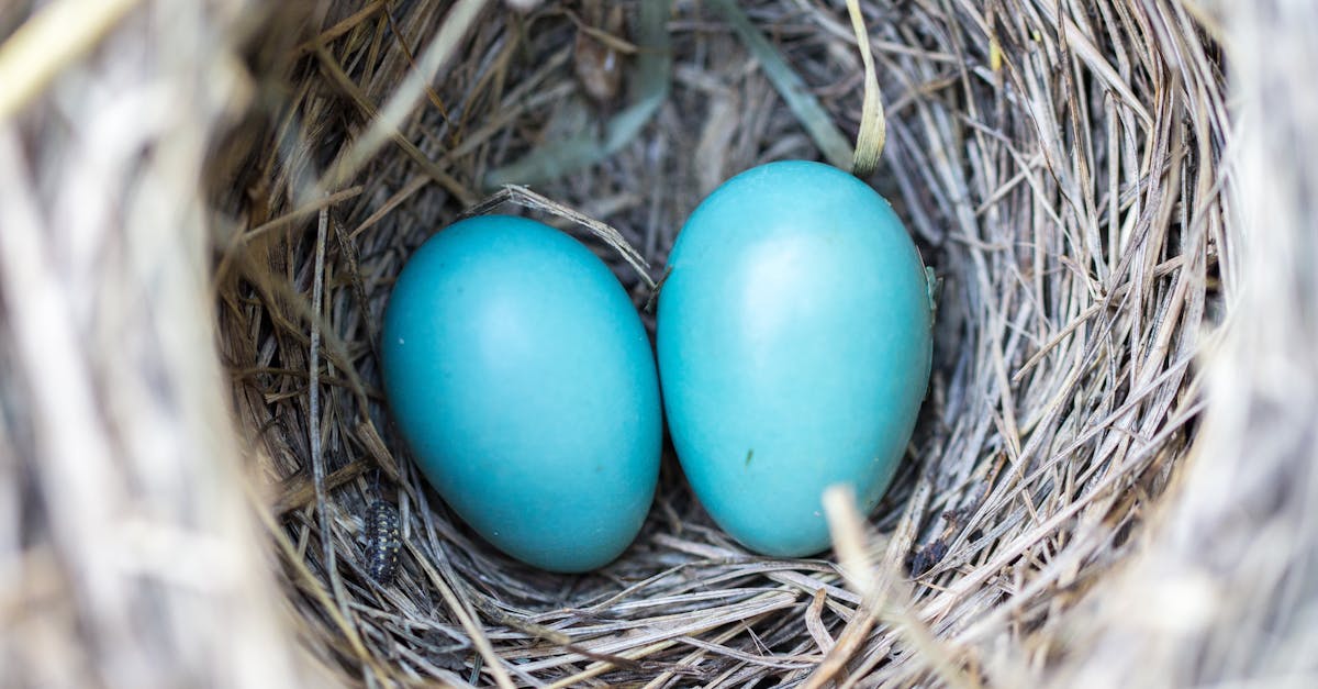 Accouchement naturel : préparer son corps et son esprit pour une expérience sereine