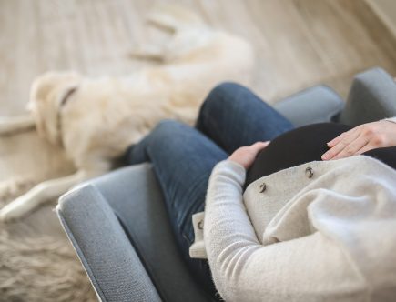 découvrez les symptômes de grossesse les plus courants et apprenez à les identifier. que vous soyez enceinte ou que vous planifiez une grossesse, cette guide vous aidera à comprendre les changements que votre corps subit et à anticiper les étapes de cette expérience unique.