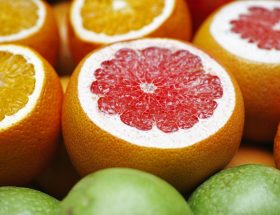 découvrez l'importance des vitamines pour votre santé et votre bien-être. apprenez-en davantage sur les différents types de vitamines, leurs bienfaits essentiels, et comment les intégrer facilement dans votre alimentation quotidienne.