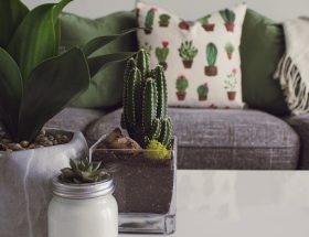 découvrez notre sélection de coussins d'allaitement, spécialement conçus pour offrir confort et soutien aux mères pendant l'allaitement. ces coussins ergonomiques facilitent l'allaitement, améliorent la posture et permettent à bébé de se nourrir en toute sérénité. idéal pour les nouvelles mamans, nos coussins d'allaitement allient style et praticité.