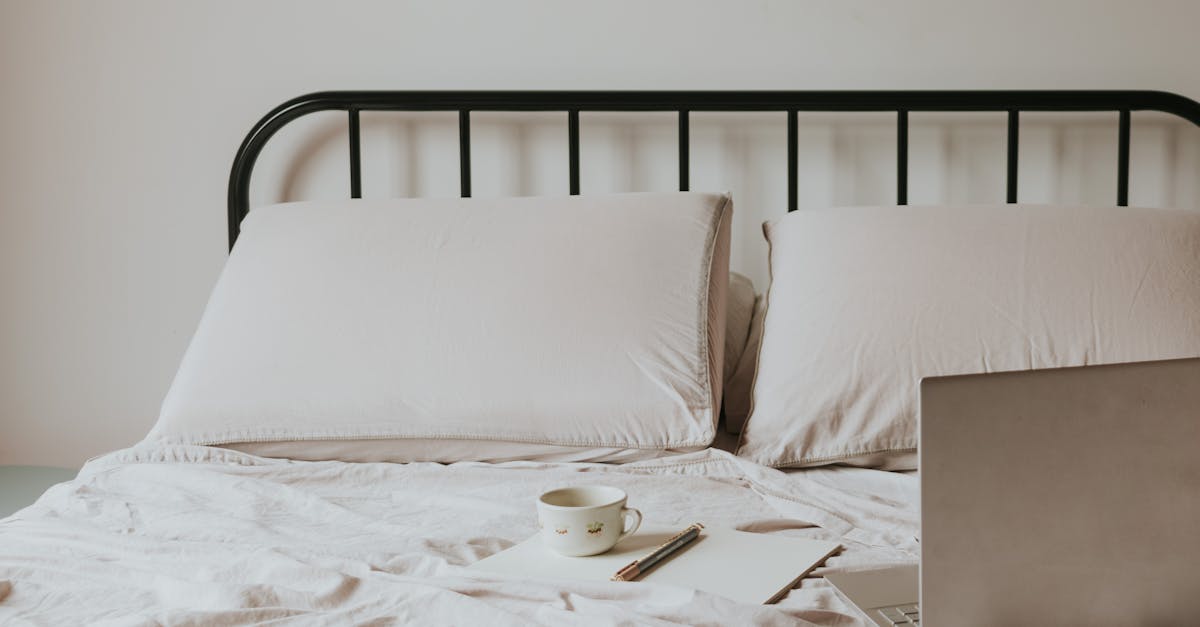 découvrez notre sélection de coussins d'allaitement, conçus pour offrir confort et soutien durant vos moments d'allaitement. idéals pour maman et bébé, ces coussins favorisent une posture ergonomique et réduisent les tensions. allaitement en toute sérénité avec nos produits de qualité !