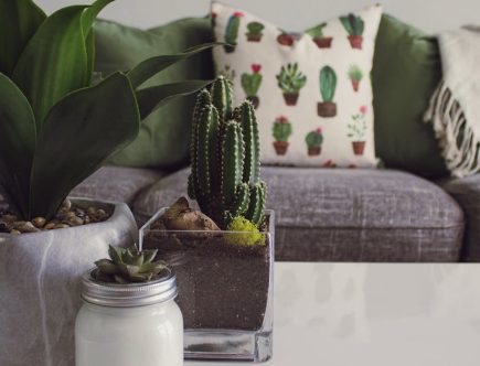 découvrez notre sélection de coussins d'allaitement, spécialement conçus pour offrir confort et soutien aux mères pendant l'allaitement. ces coussins ergonomiques facilitent l'allaitement, améliorent la posture et permettent à bébé de se nourrir en toute sérénité. idéal pour les nouvelles mamans, nos coussins d'allaitement allient style et praticité.