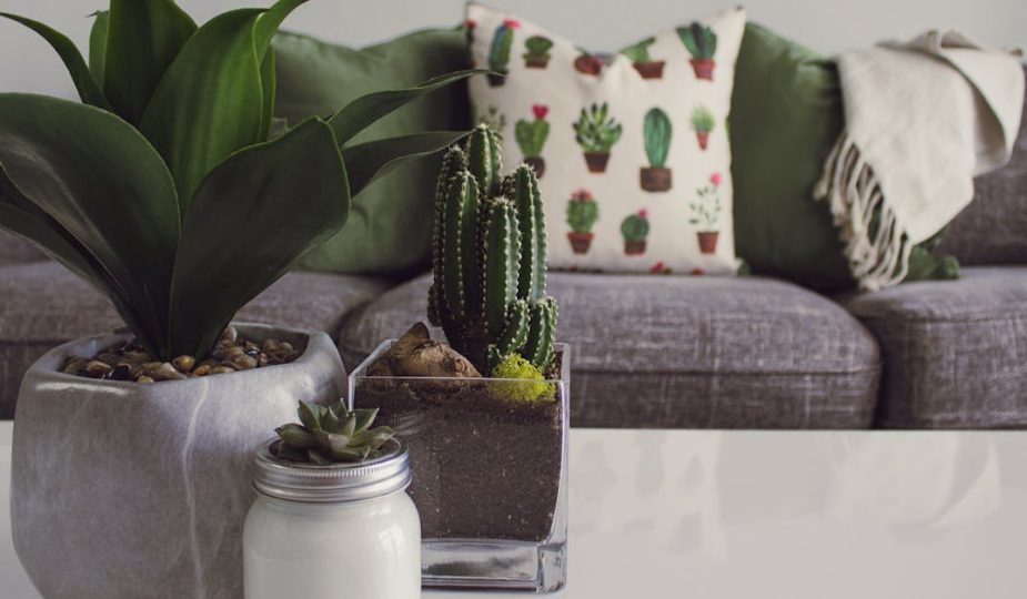 découvrez notre sélection de coussins d'allaitement, spécialement conçus pour offrir confort et soutien aux mères pendant l'allaitement. ces coussins ergonomiques facilitent l'allaitement, améliorent la posture et permettent à bébé de se nourrir en toute sérénité. idéal pour les nouvelles mamans, nos coussins d'allaitement allient style et praticité.