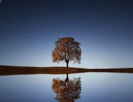 découvrez des techniques de relaxation efficaces pour apaiser votre esprit et réduire le stress au quotidien. plongez dans un univers de sérénité et de bien-être grâce à nos conseils pratiques et exercices simples.