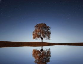 découvrez des techniques de relaxation efficaces pour apaiser votre esprit et réduire le stress au quotidien. plongez dans un univers de sérénité et de bien-être grâce à nos conseils pratiques et exercices simples.