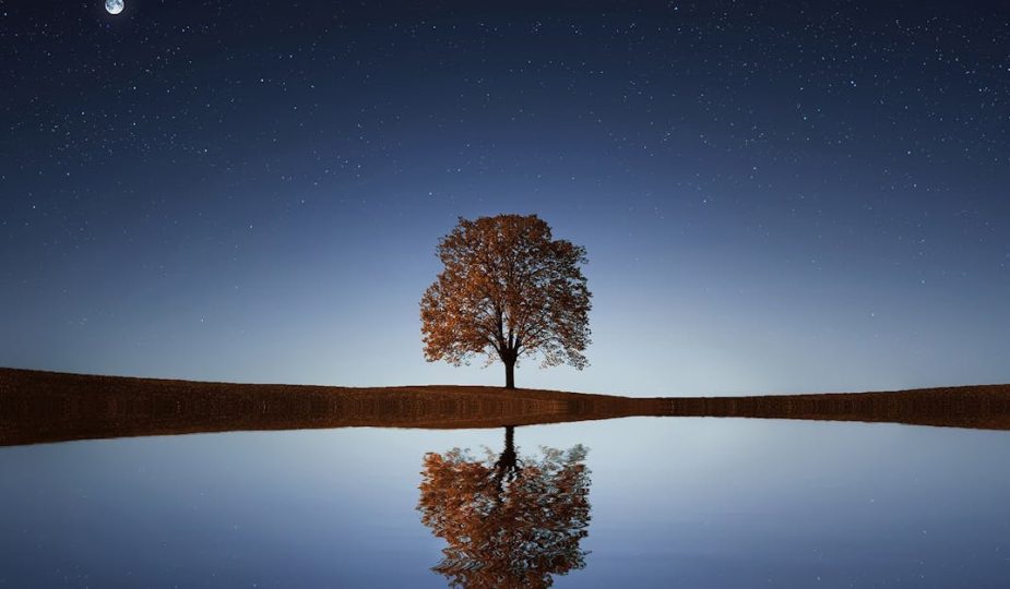 découvrez des techniques de relaxation efficaces pour apaiser votre esprit et réduire le stress au quotidien. plongez dans un univers de sérénité et de bien-être grâce à nos conseils pratiques et exercices simples.