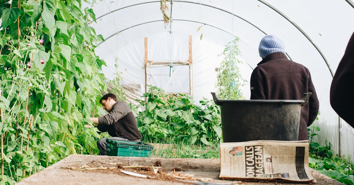 découvrez l'univers du jardinage avec nos conseils pratiques, astuces et idées pour créer un jardin florissant. que vous soyez débutant ou expert, trouvez l'inspiration pour cultiver vos plantes préférées et embellir votre espace extérieur.