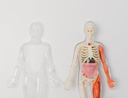 découvrez tout ce qu'il faut savoir sur l'hospitalisation : définitions, processus, droits des patients et conseils pratiques pour bien vivre cette expérience. informez-vous sur les différents types d'hospitalisation et les services disponibles pour optimiser votre parcours de soins.