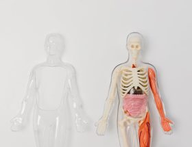 découvrez tout ce qu'il faut savoir sur l'hospitalisation : définitions, processus, droits des patients et conseils pratiques pour bien vivre cette expérience. informez-vous sur les différents types d'hospitalisation et les services disponibles pour optimiser votre parcours de soins.