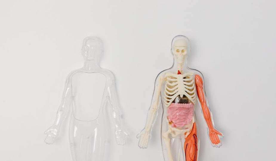 découvrez tout ce qu'il faut savoir sur l'hospitalisation : définitions, processus, droits des patients et conseils pratiques pour bien vivre cette expérience. informez-vous sur les différents types d'hospitalisation et les services disponibles pour optimiser votre parcours de soins.