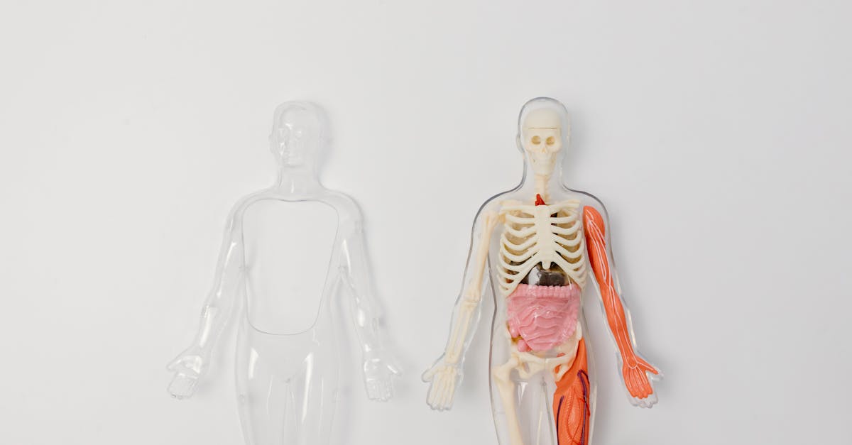 découvrez tout ce qu'il faut savoir sur l'hospitalisation : définitions, processus, droits des patients et conseils pratiques pour bien vivre cette expérience. informez-vous sur les différents types d'hospitalisation et les services disponibles pour optimiser votre parcours de soins.