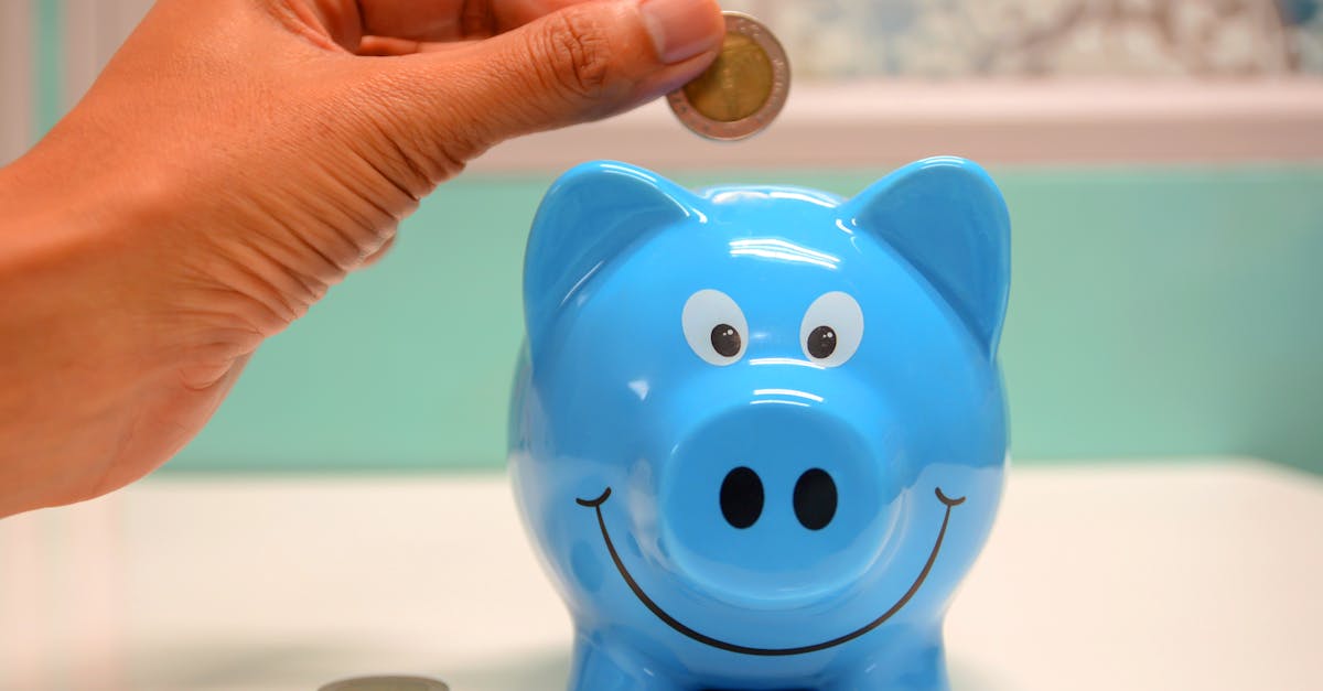 découvrez comment établir un budget maternité efficace pour gérer vos dépenses pendant la grossesse et après l'arrivée de bébé. des conseils pratiques pour prévoir les coûts liés à la santé, aux produits pour bébé et aux autres besoins essentiels.