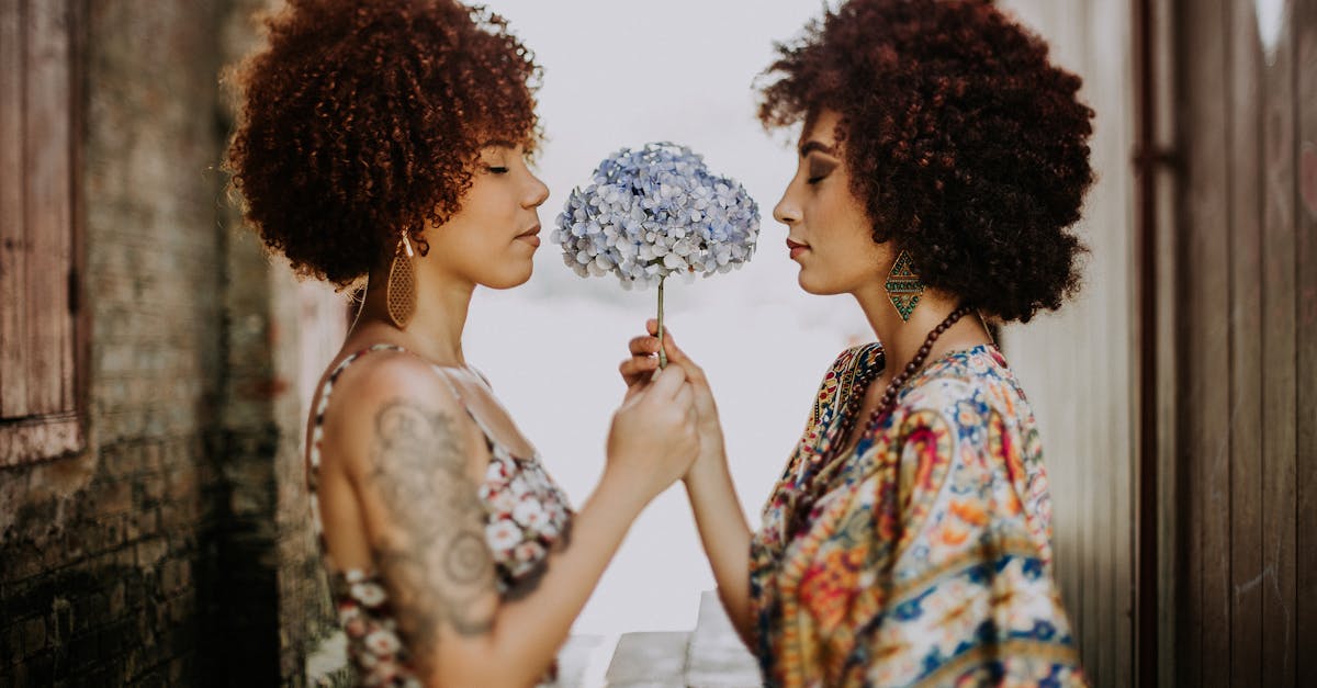 découvrez l'art du partage : explorez comment le partage d'idées, de ressources et d'expériences peut enrichir votre vie et celle des autres. rejoignez une communauté engagée où l'échange est au cœur de chaque interaction.