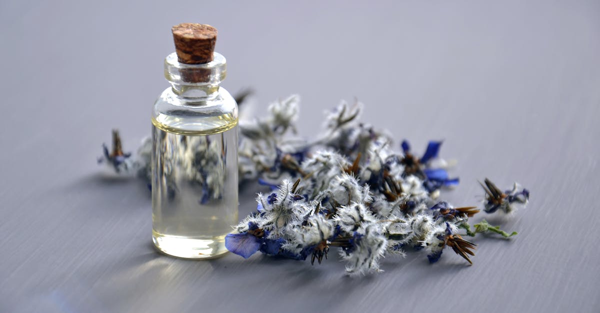 découvrez les bienfaits de la médecine alternative, une approche holistique qui favorise la guérison naturelle et le bien-être. explorez les thérapies complémentaires pour améliorer votre santé physique et mentale.