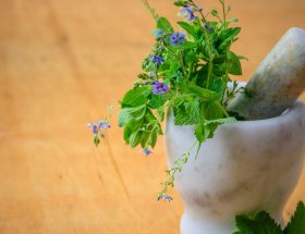 découvrez les bienfaits de la médecine alternative, une approche holistique de la santé qui privilégie les méthodes naturelles et préventives pour améliorer votre bien-être physique et mental.