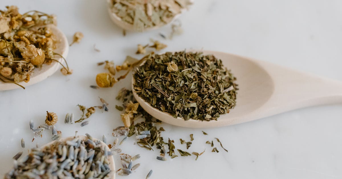 découvrez les bienfaits de la médecine alternative, une approche holistique de la santé qui privilégie les méthodes naturelles pour prévenir et traiter les maladies. informez-vous sur les différentes pratiques comme l'acupuncture, l'homéopathie et bien d'autres, pour une approche personnalisée de votre bien-être.