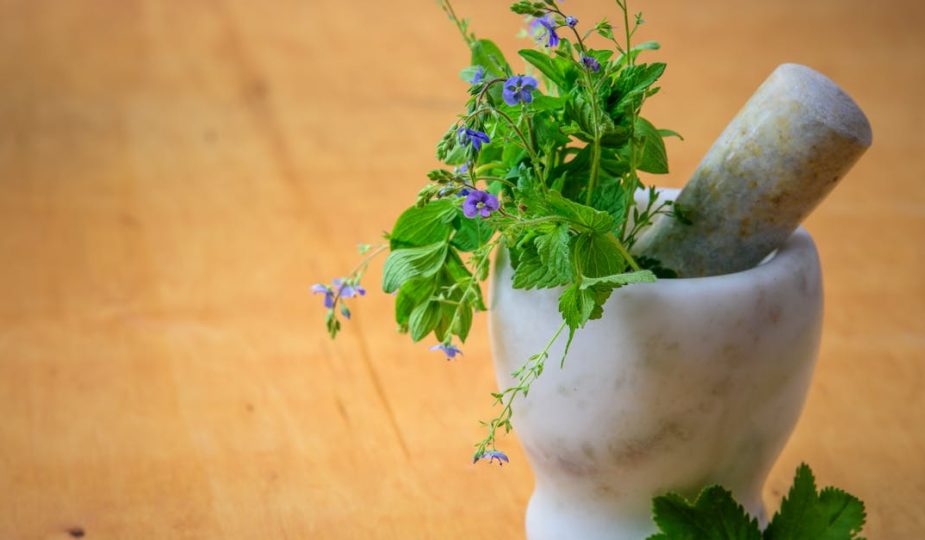 découvrez les bienfaits de la médecine alternative, une approche holistique de la santé qui privilégie les méthodes naturelles et préventives pour améliorer votre bien-être physique et mental.