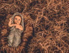 découvrez des récits authentiques et émouvants d'accouchements : partagez, lisez, et inspirez-vous des histoires de naissance de femmes et familles du monde entier.