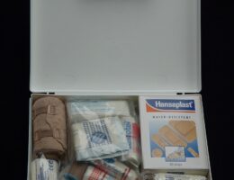 apprenez les gestes essentiels de premiers secours pour sauver des vies en situation d'urgence grâce à nos conseils pratiques et faciles à suivre.