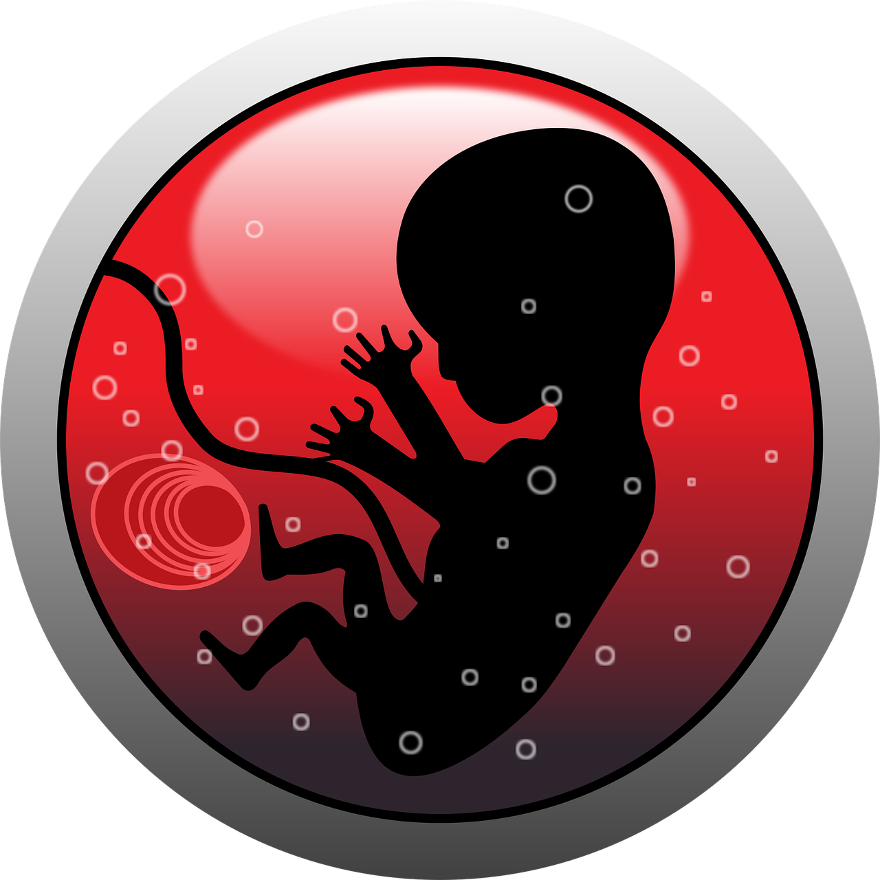 d&eacute;couvrez les &eacute;tapes cl&eacute;s du d&eacute;veloppement de votre b&eacute;b&eacute;, de la naissance aux premiers mois, pour mieux accompagner sa croissance et son &eacute;panouissement.