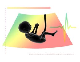 informations essentielles et conseils pour la sant&eacute; maternelle, garantissant le bien-&ecirc;tre des m&egrave;res avant, pendant et apr&egrave;s la grossesse.