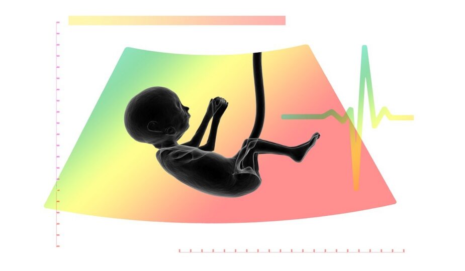 informations essentielles et conseils pour la sant&eacute; maternelle, garantissant le bien-&ecirc;tre des m&egrave;res avant, pendant et apr&egrave;s la grossesse.
