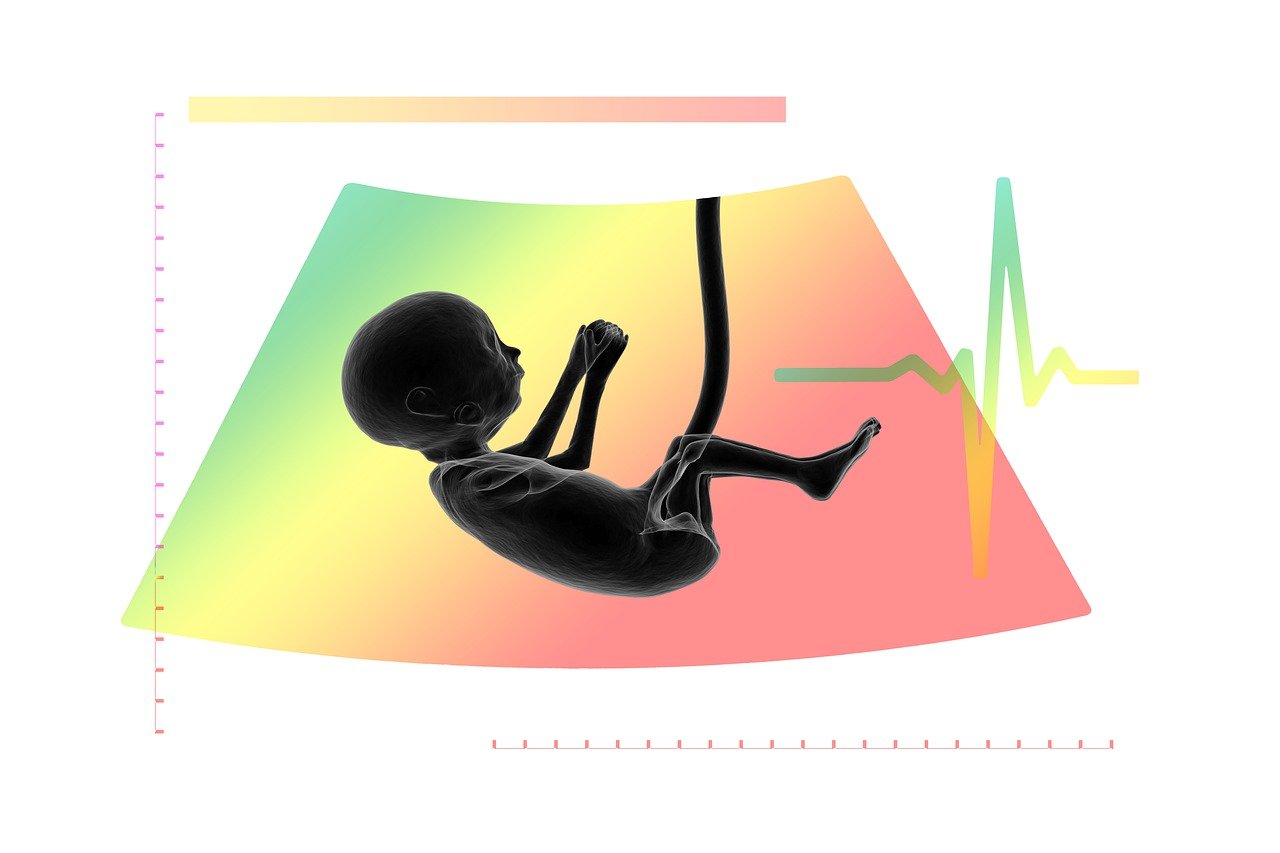 informations essentielles et conseils pour la sant&eacute; maternelle, garantissant le bien-&ecirc;tre des m&egrave;res avant, pendant et apr&egrave;s la grossesse.